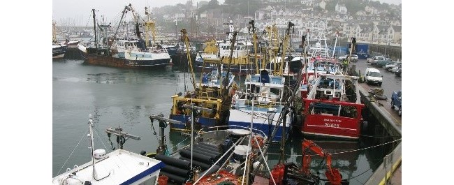 Fishing boats in a harbour